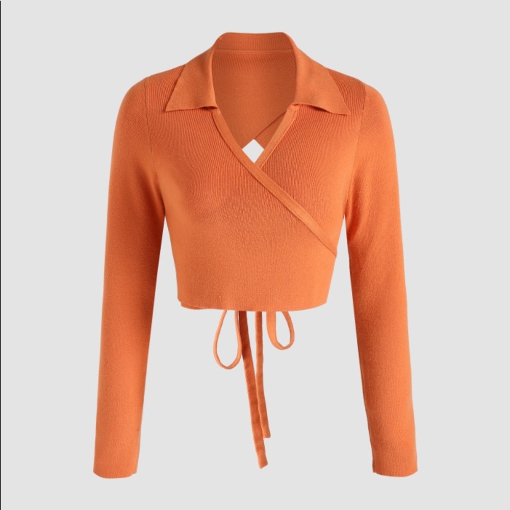 Cider V-Neck Tie Back Cropped Sweater